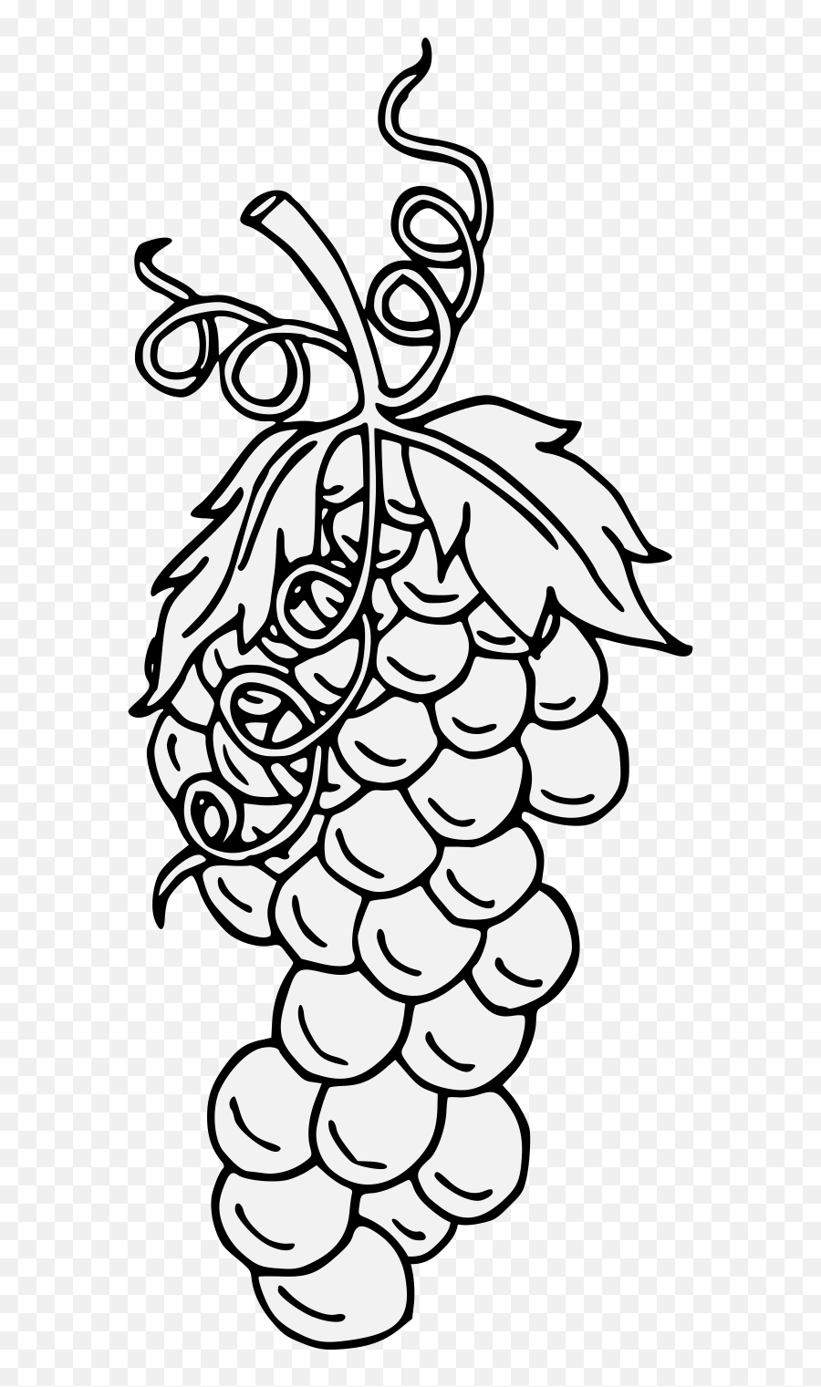 Grape - Traceable Heraldic Art Grape Heraldry Png,Grape Png