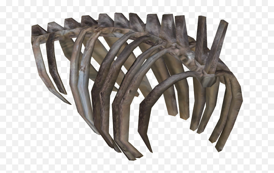 Download Ribcage Dinosaurs Rib Cage Art Png Free Transparent Png Images Pngaaa Com