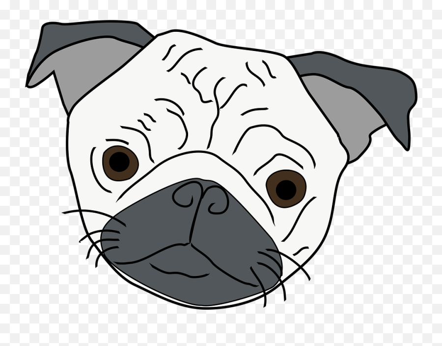 Free Photo Black Dog Pet Race Pug Face Puppies Cute - Max Pixel Soft Png,Puppies Png