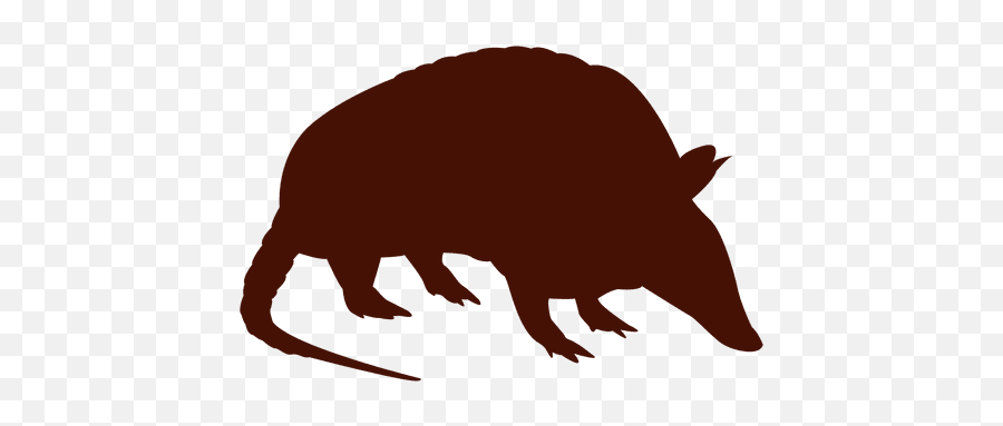 Transparent Png Svg Vector File - Transparent Armadillo,Armadillo Png