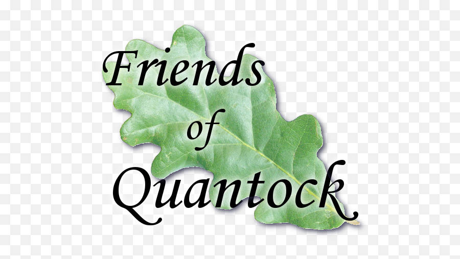 Friends Of Quantock Logo - Natural Foods Png,Friends Logo Png