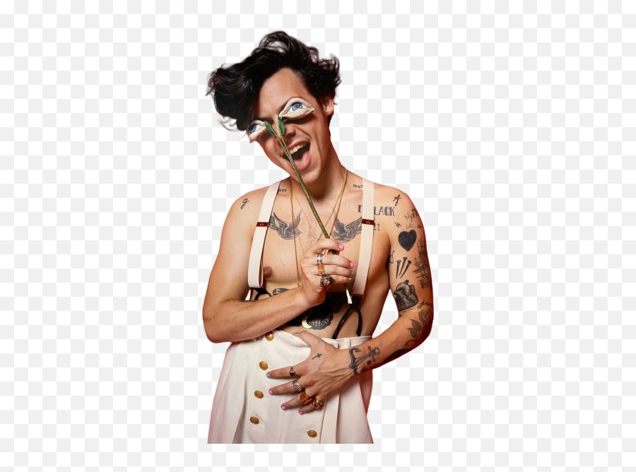 Harrystyles Harry Styles Sticker - Harry Styles Tatuagens 2020 Png,Harry Styles Png