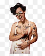Harrystyles Harry Styles Sticker - Harry Styles Tatuagens 2020 Png,Harry Styles Png