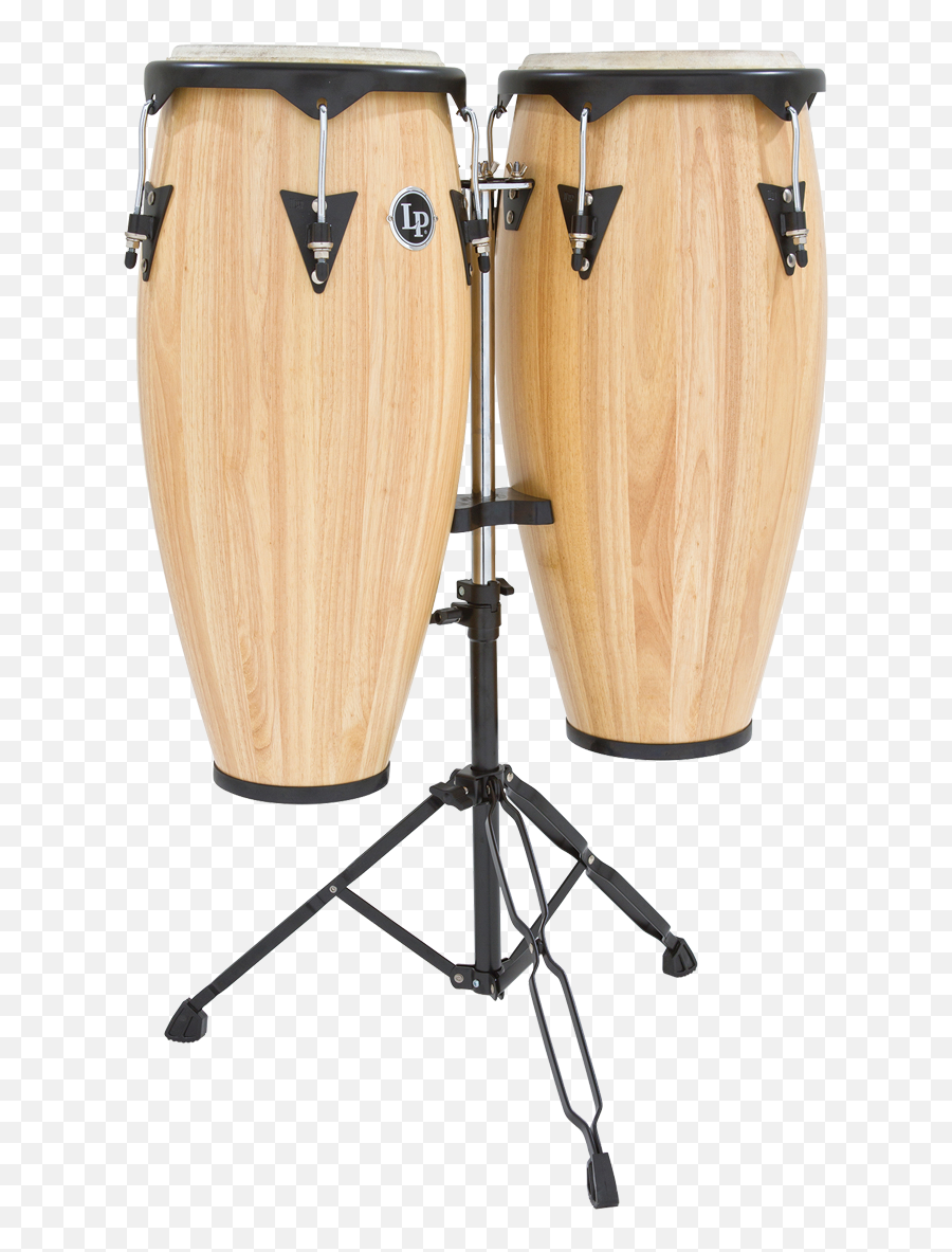Lp Conga Drumhead Guide - Latin Percussion Instruments Png,Congas Png