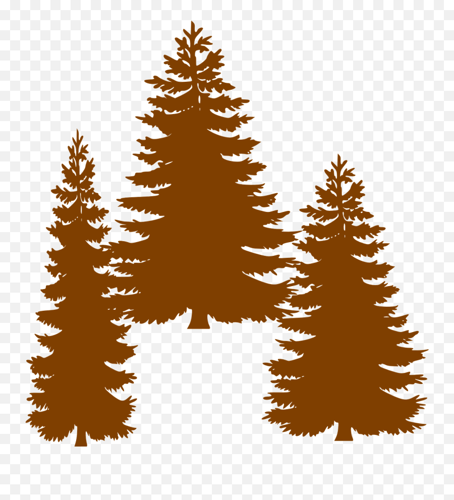 Pine Fir Tree Evergreen Clip Art - Tall Pine Tree Silhouette Pine Line Tree Silhouette Png,Pine Trees Silhouette Png