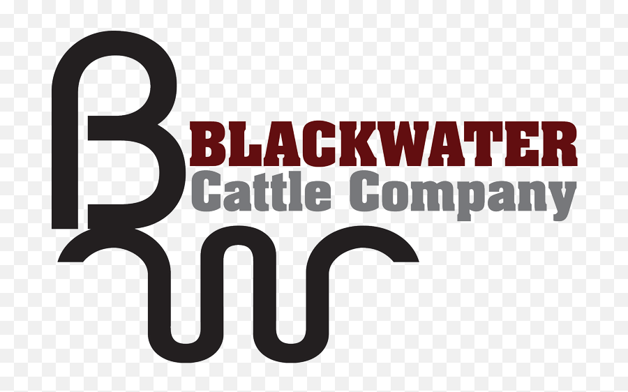 Home - Blackwater Cattle Company Lake Park Georgia Vertical Png,Cattle Brand Logo