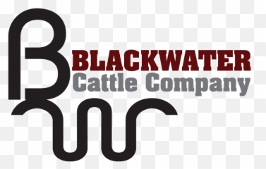 Home - Blackwater Cattle Company Lake Park Georgia Vertical Png,Cattle Brand Logo