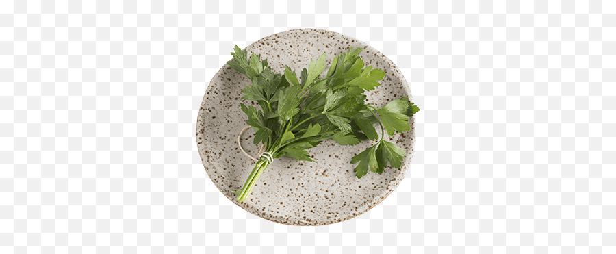 Parsley - Plate Iga Recipes Serveware Png,Parsley Png