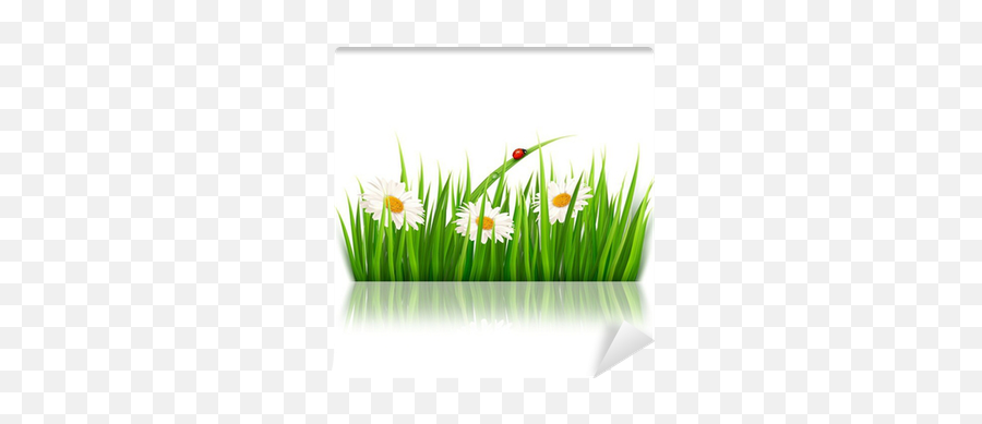 Nature Background With Green Grass And Flowers Vector Wall Mural U2022 Pixers - We Live To Change Png,Flowers Vector Png