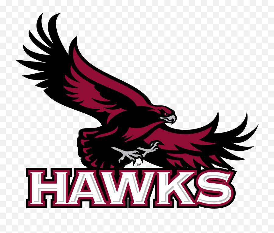Hawks Logo Png Transparent - Saint University Mascot,Hawks Logo Png