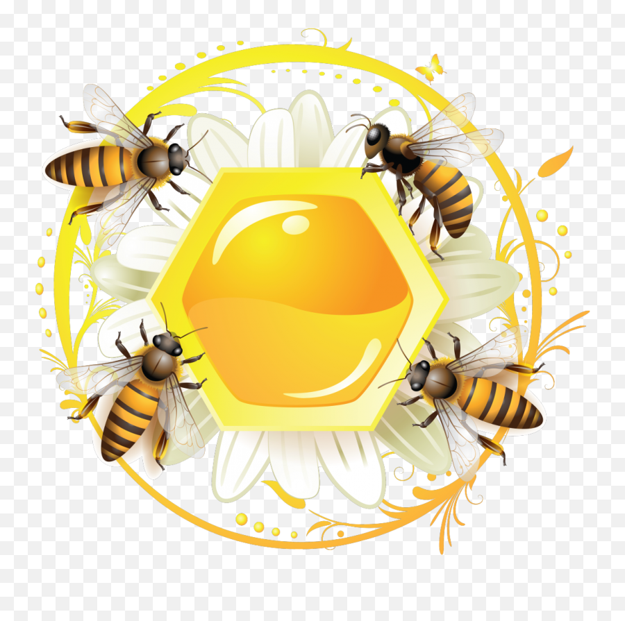19578238png 10771024 Honey Bee Cartoon Images - Logo Etiqueta Miel De Abeja,Bumblebee Icon