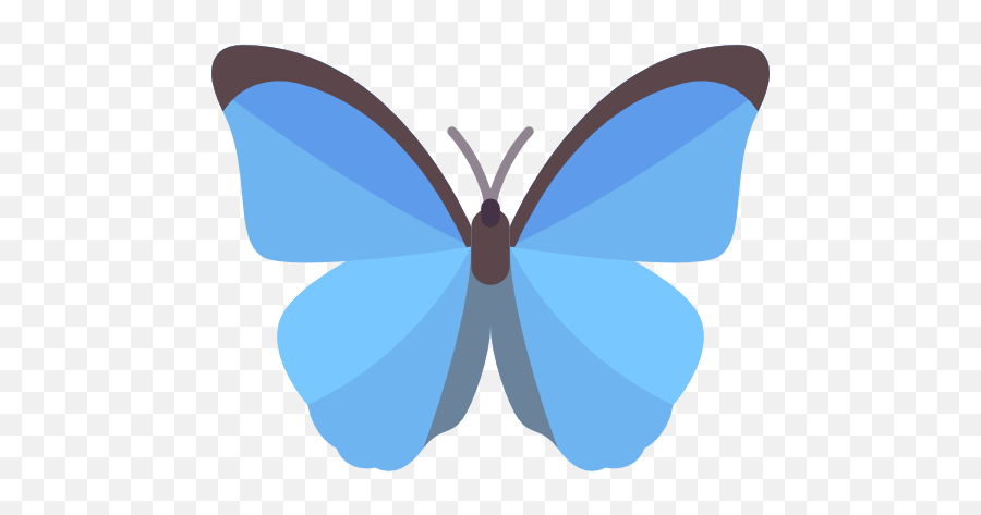 Butterfly - Free Animals Icons Blue Butterfly Icon Png,Blue Butterflies Png