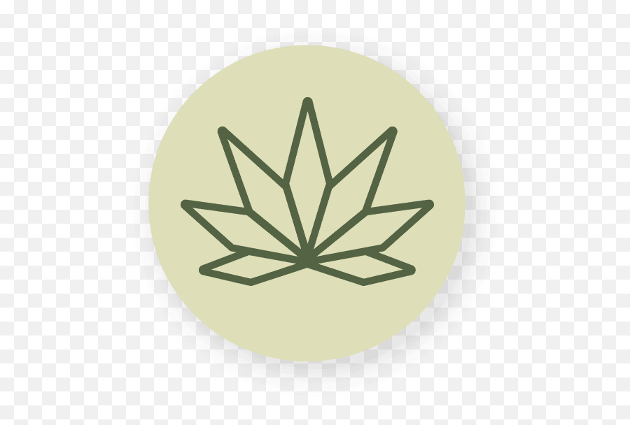 Massachusetts Dispensaries Shop Cannabis Native Sun - Estrela De Oito Pontas Png,Hudson Icon Vest