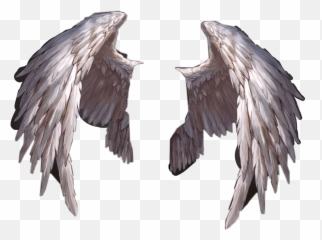 Lucifer Diable Ange Ailles Deamon Devil Freetoedit Png