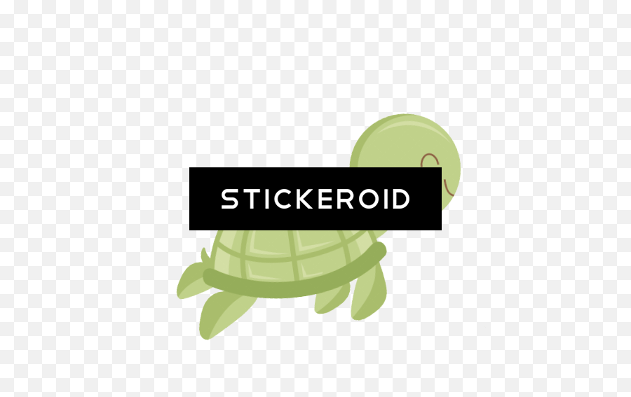 Cute Turtle Logo - Tortoise Png,Cute Turtle Png