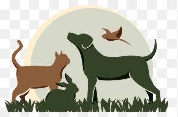 Veterinarian San Jose Ca Local Animal Hospital - In 95129 png