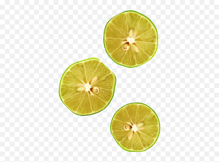 Lemon Top View Transparent U0026 Png Clipart Free Download - Ywd Fruit Top View Png,Tree Top Down Png