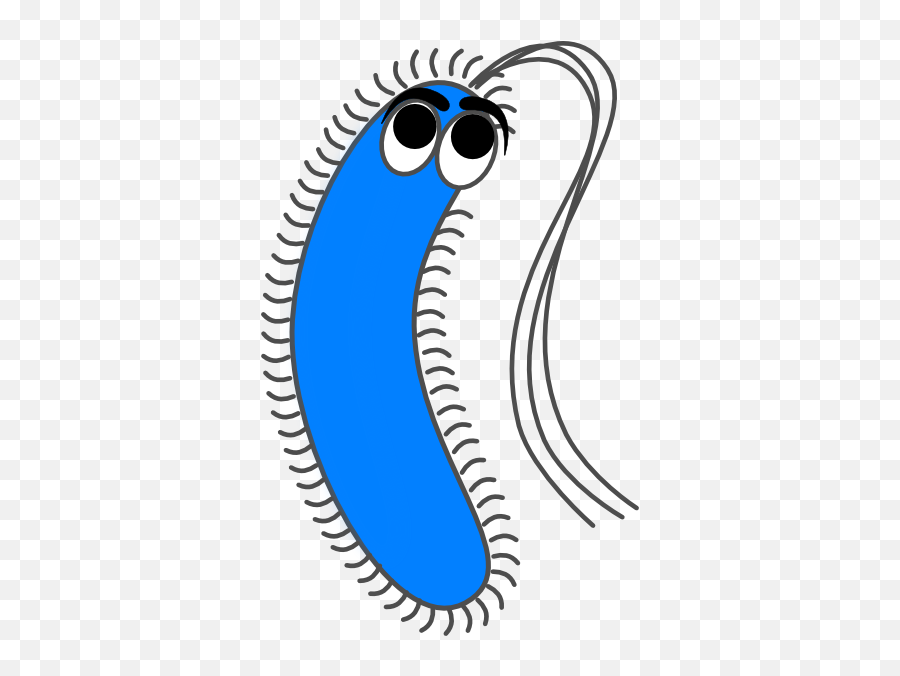 Free Bacteria Cliparts Png Download - Bacteria Clipart,Bacteria Transparent Background