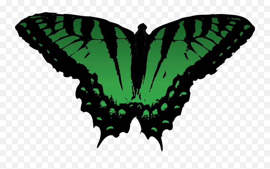 Butterfly Vector Free For Use By Romansiii - Png Clip Art,Butterfly Vector Png