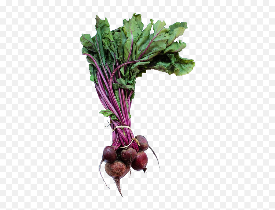 2 Bunches Beets - Swiss Chard Beet Tops Png,Beet Png