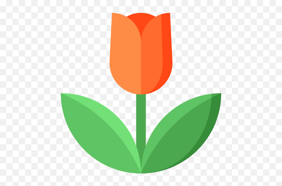 Tulip - Tulip Png,Tulip Png