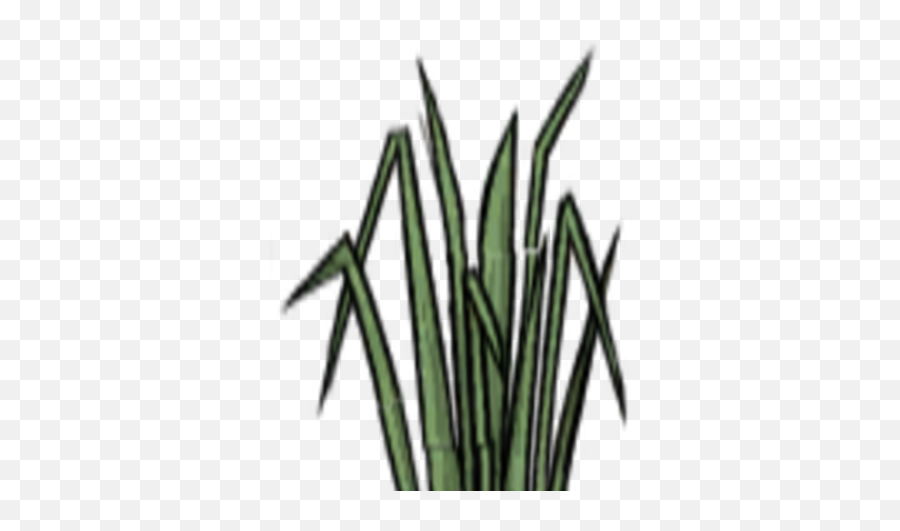 Tall Grass - Starve Png,Tall Grass Png