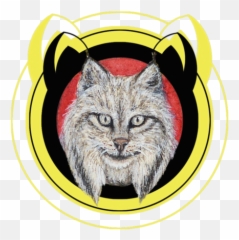 Big Paws U2014 Torc The Cat - Cat Png,Lynx Png