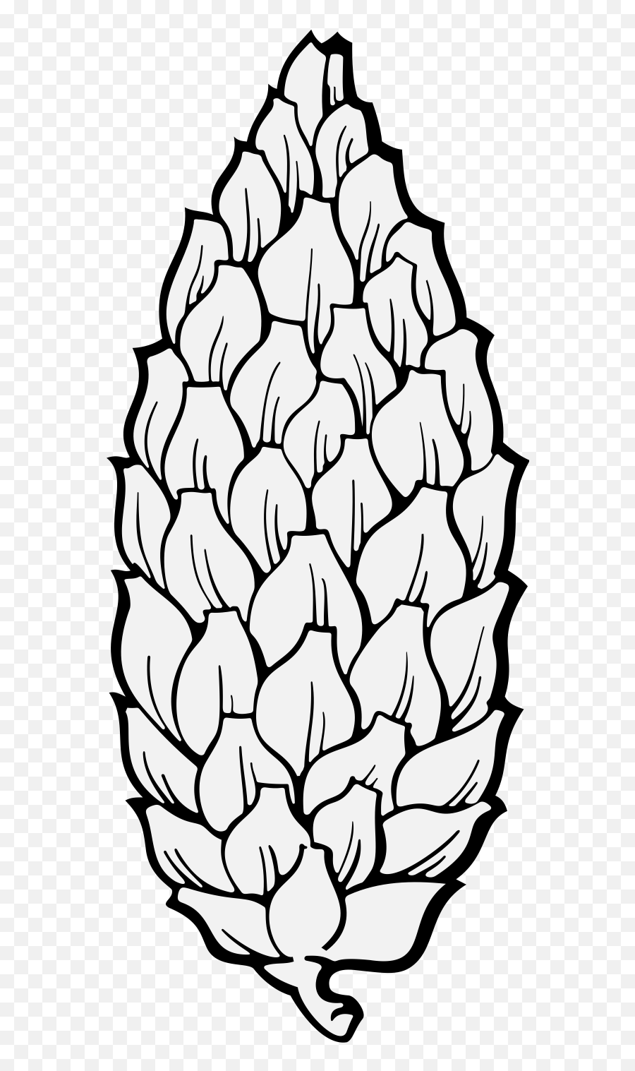 Pine - Traceable Heraldic Art Drawing Png,Pine Cone Png