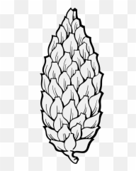 Pine - Traceable Heraldic Art Drawing Png,Pine Cone Png