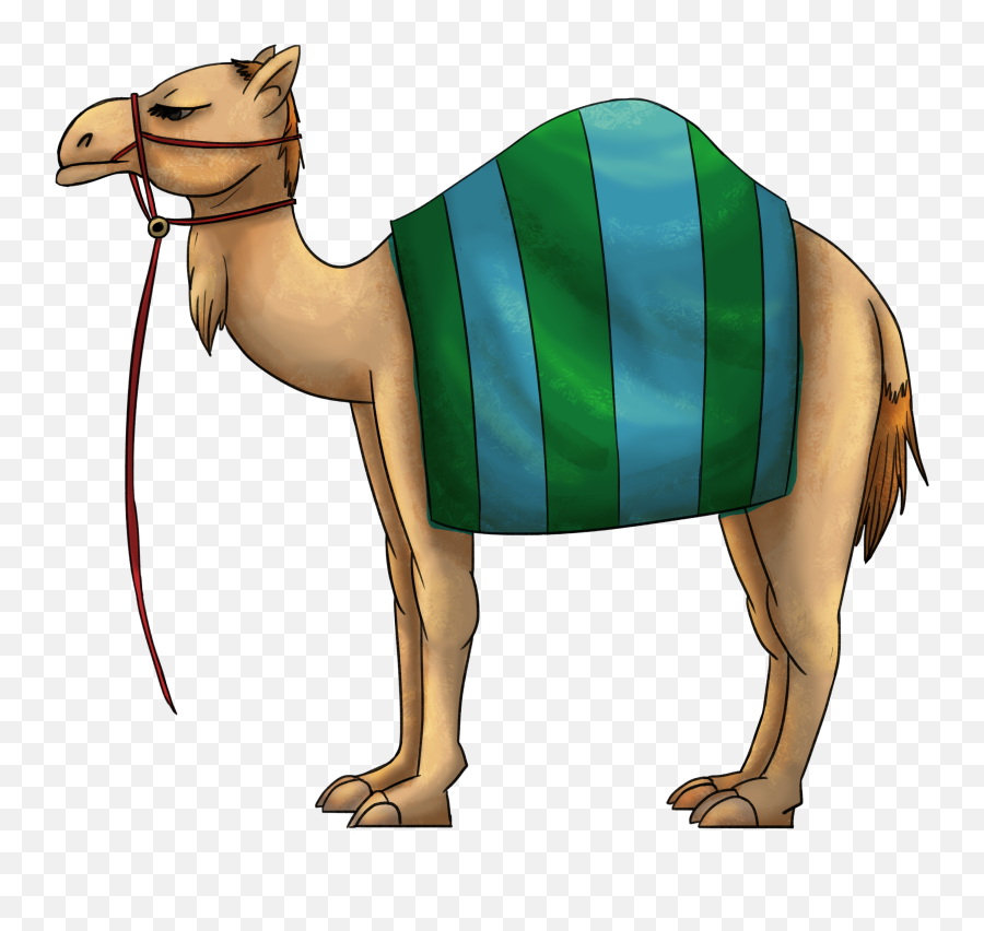Download Hd 3000 X 2 - Arabian Camel Transparent Png Transparent Camel Cartoon Png,Camel Transparent Background