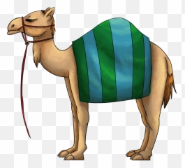 Download Hd 3000 X 2 - Arabian Camel Transparent PNG Cartoon Png