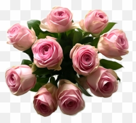 Pink Bouquet of Roses Flower Stickers