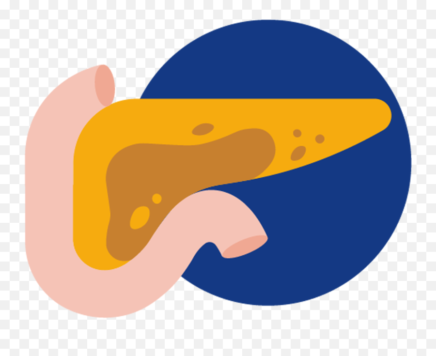 Pancreatitis - Language Png,Pancreas Icon