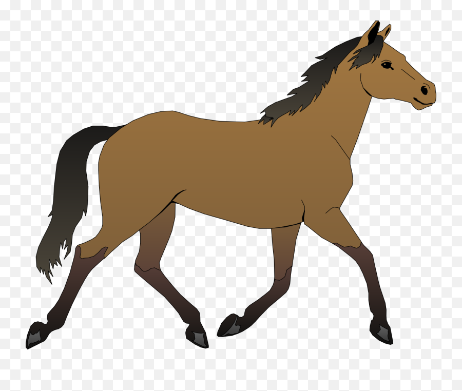 Running Horse Clip Art - Cartoon Pictures Of Horses Png,Horse Running Png