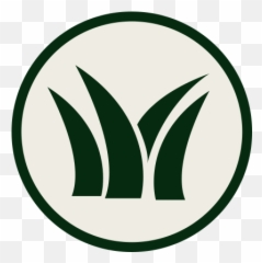 Artificial Grass Vancouver And Surrounding Synthetic Turf Png