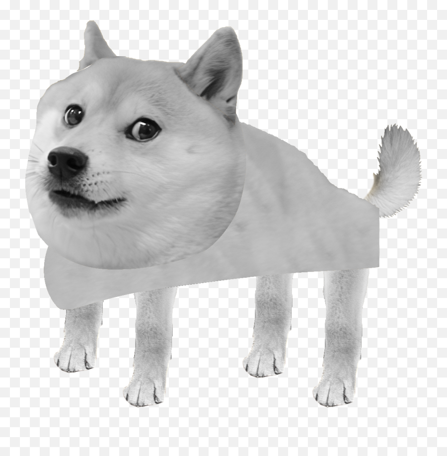 Is There Any Way To Do Something Like This - Hokkaido Dog Png,Morph Effect On Tiktok Icon