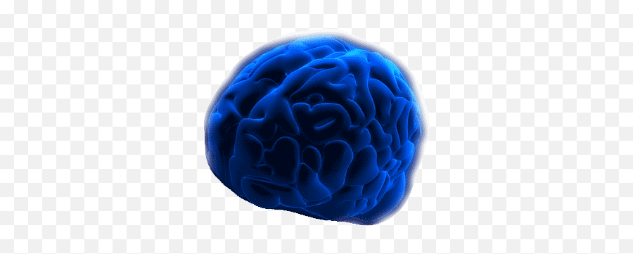 The Missing Black Box Little Bangkok Sangha - Blue Brain Png,Brain Transparent Background