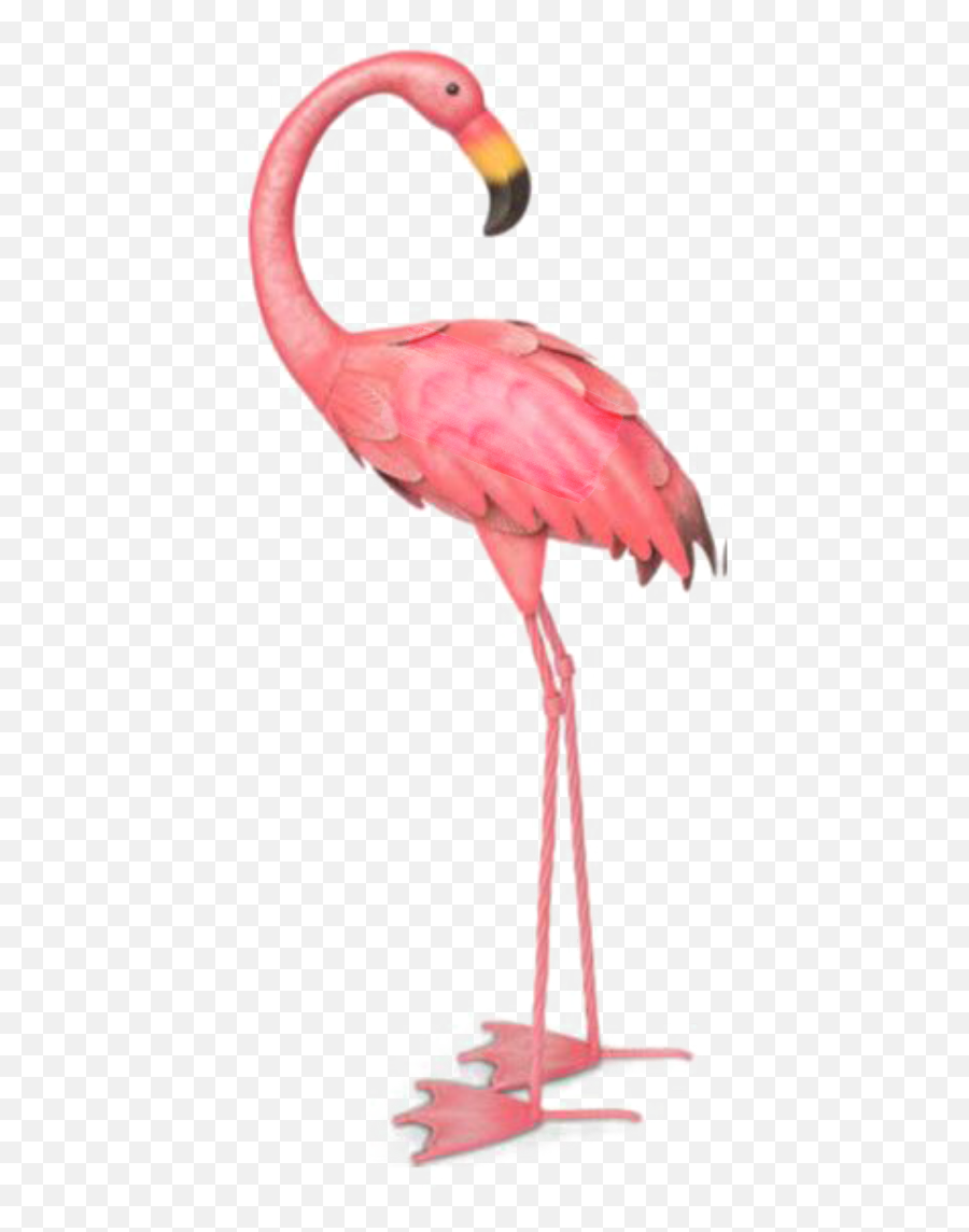 Watercolor Flamingo Png - Transparent Background Flamingo Clip Art,Flamingo Transparent Background
