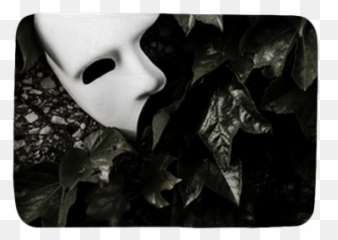 Masquerade - Phantom Of The Opera Mask On Ivy Wall Bath Mat U2022 Pixers U2022 We Live To Change Phantom Of The Opera Mask Png,Phantom Of The Opera Mask Png