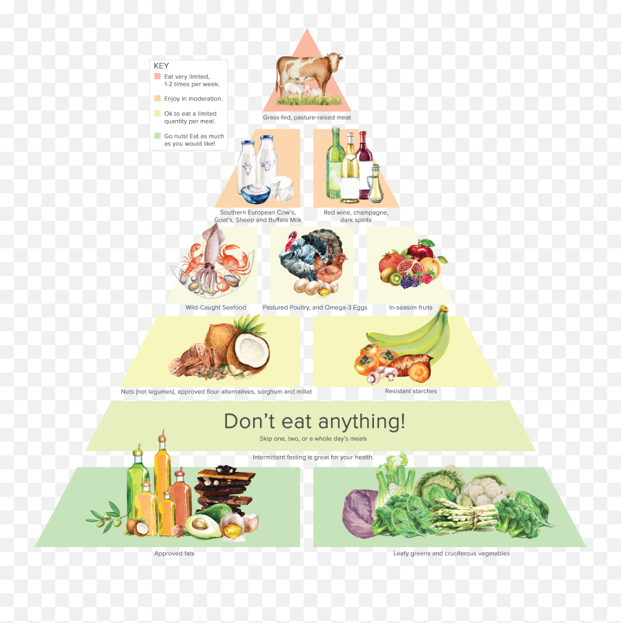Download Hd Steven Gundry Food Pyramid - Dr Steven Gundry Food Pyramid Png,Food Pyramid Png