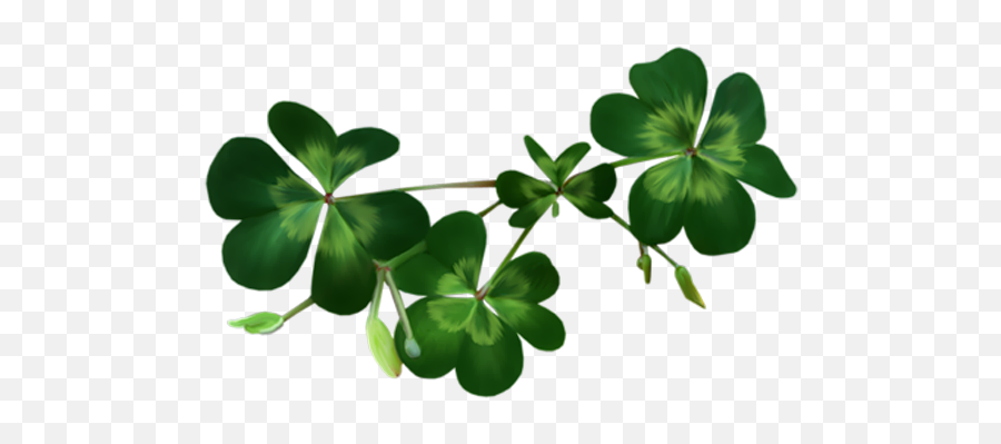 Free Clipart Images Shamrock - Transparent Background Shamrock Png,Four Leaf Clover Transparent Background