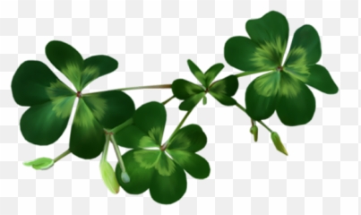 Free Clipart Images Shamrock - Transparent Background Png