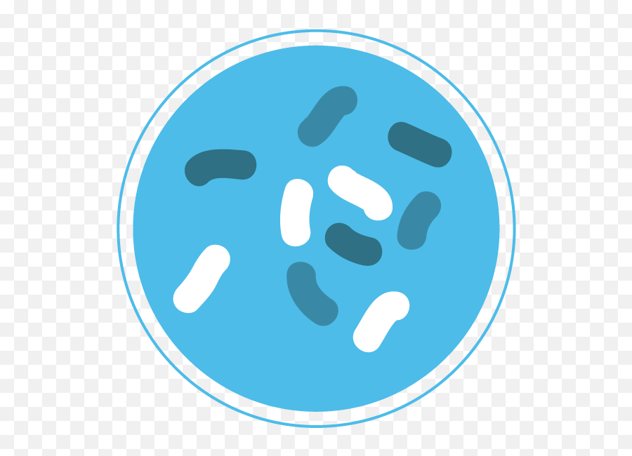 Bacteria Png - Bacteria Icon Png,Bacteria Transparent Background