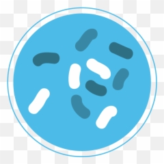 Bacteria Png - Icon