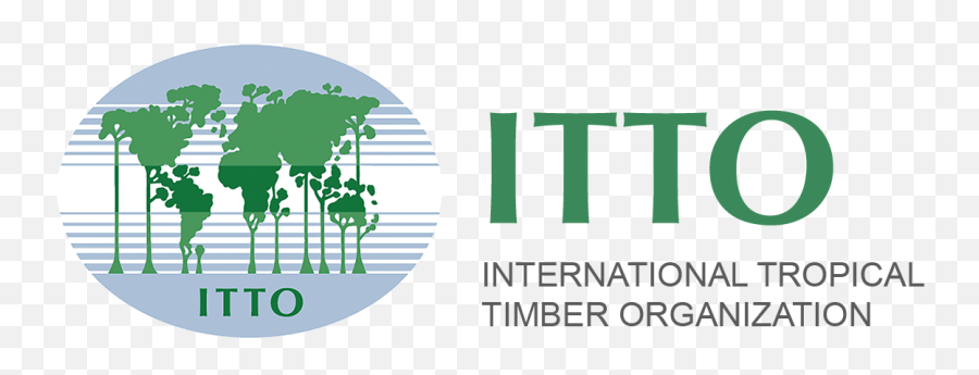Itto The International Tropical Timber Organization - International Tropical Timber Organization Png,Timber Png