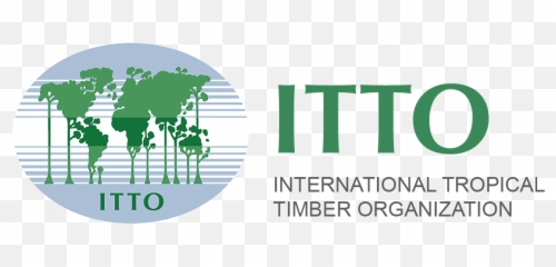 Itto The International Tropical Timber Organization - International Tropical Timber Organization Png,Timber Png