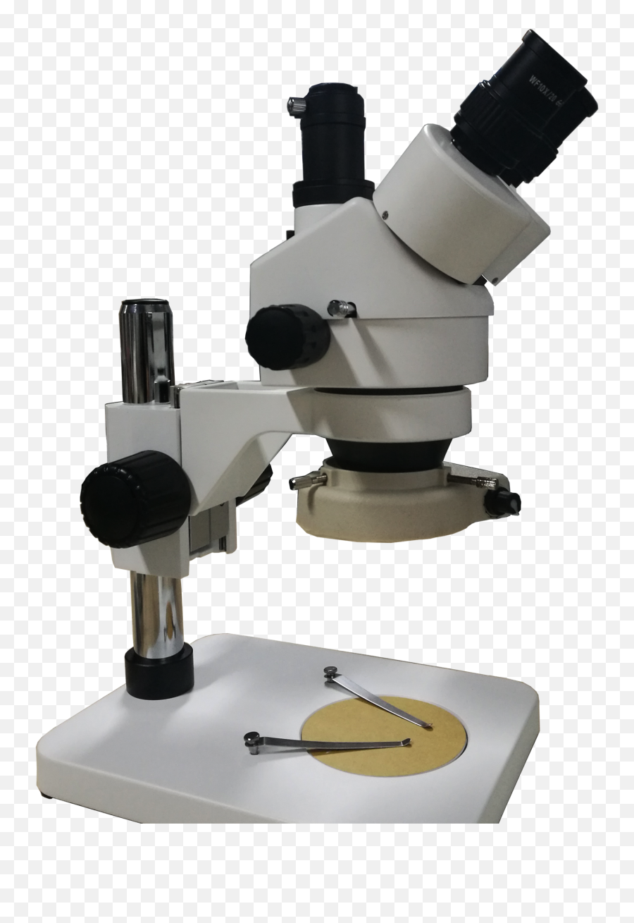 Xtl - 500 Stereo Microscopestereo Microscopeexcellent Png,Microscope Transparent