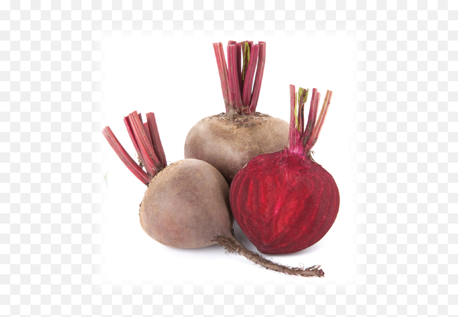 Red Beet Png