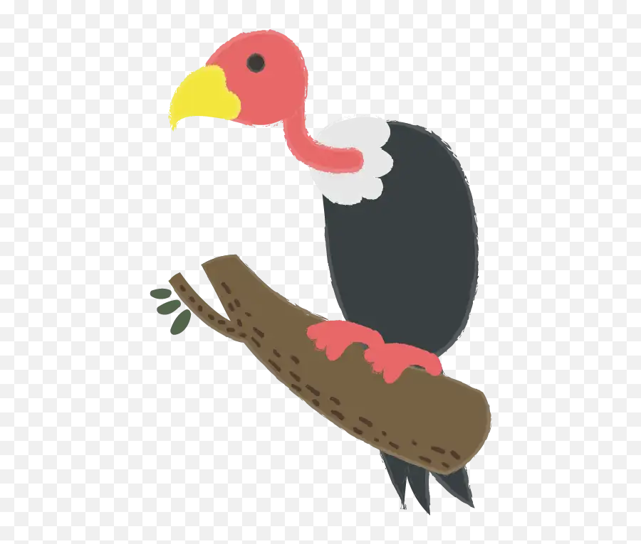 Birds Flashcards For Kids Todpolescom - Illustration Png,Vulture Png