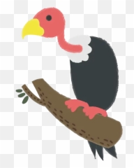 Birds Flashcards For Kids Todpolescom - Illustration Png,Vulture Png